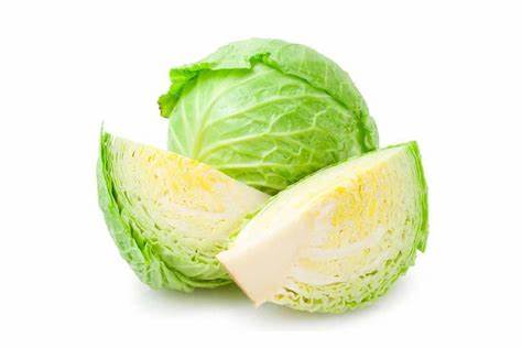 Cabbage